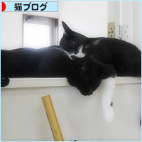 兄弟のだる~ん_a0389088_16051603.jpg