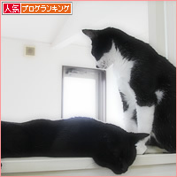 兄弟のだる~ん_a0389088_16051655.jpg