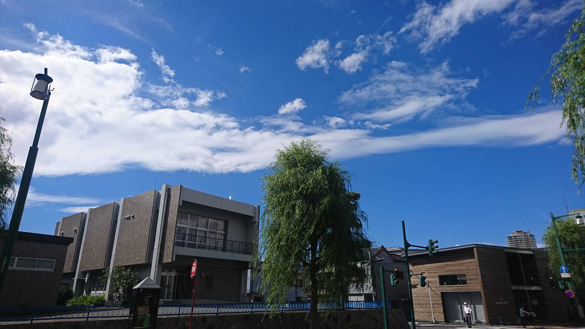 まだまだあるので・・_e0046190_17022676.jpg