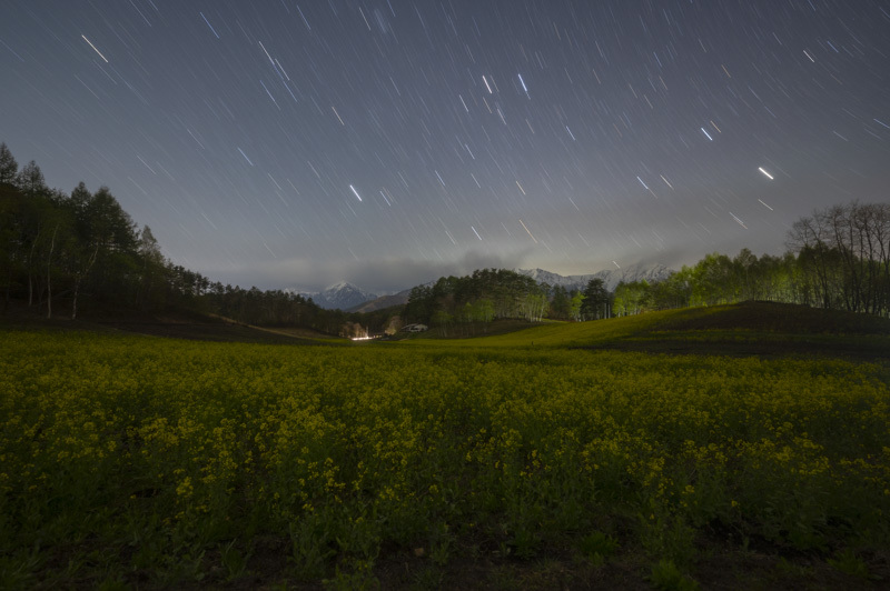 菜の花畑に星の雨_c0216331_06320548.jpg