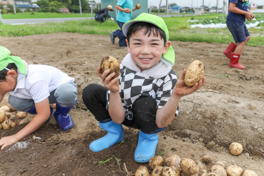 Potato Picking! お芋ほり！_e0351952_11312083.jpg