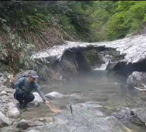 お山 (今年1回目)_c0157482_12101287.png
