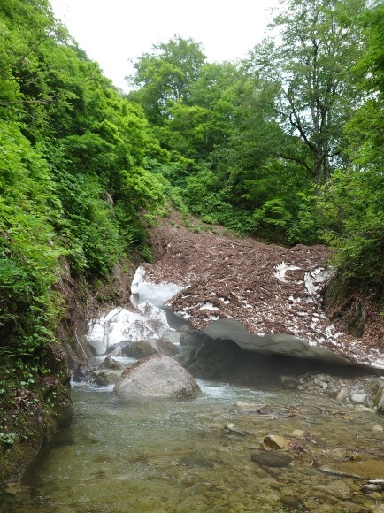 お山 (今年1回目)_c0157482_12151470.jpg