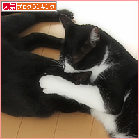 誰がなめた?_a0389088_15004173.jpg