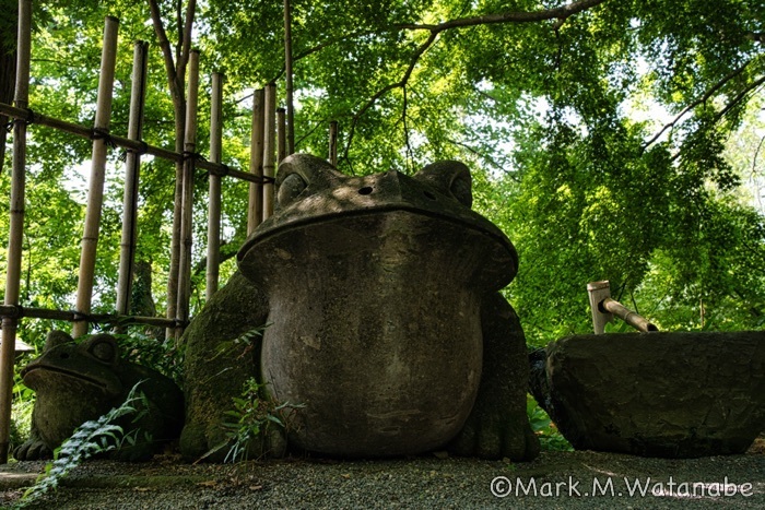 如意輪寺-カエルの石像_e0135098_21110422.jpg