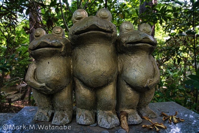 如意輪寺-カエルの3兄弟_e0135098_21232670.jpg