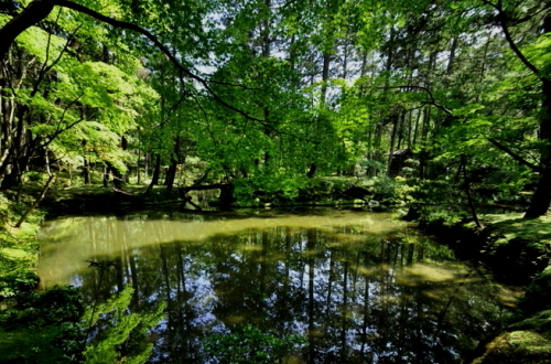 世界遺産・一面が緑に染まった絶景が楽しめる庭園_a0113718_02381721.jpg