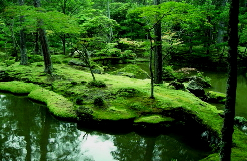 世界遺産・一面が緑に染まった絶景が楽しめる庭園_a0113718_02385548.jpg