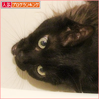 風呂に入る猫_a0389088_11083607.jpg