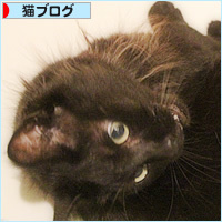 風呂に入る猫_a0389088_11083736.jpg