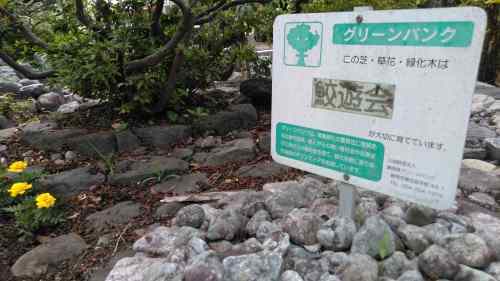 水が流れ植物も生き生き 鮫島(田子浦)のビオトープ「八相至誠の庭」_f0141310_08025434.jpg
