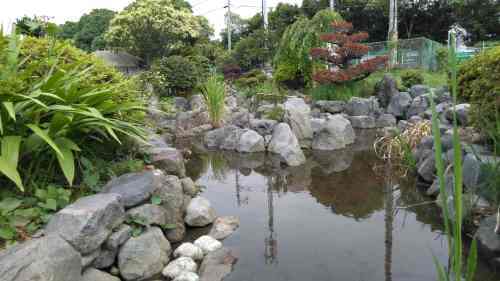 水が流れ植物も生き生き　鮫島（田子浦）のビオトープ「八相至誠の庭」_f0141310_08031361.jpg