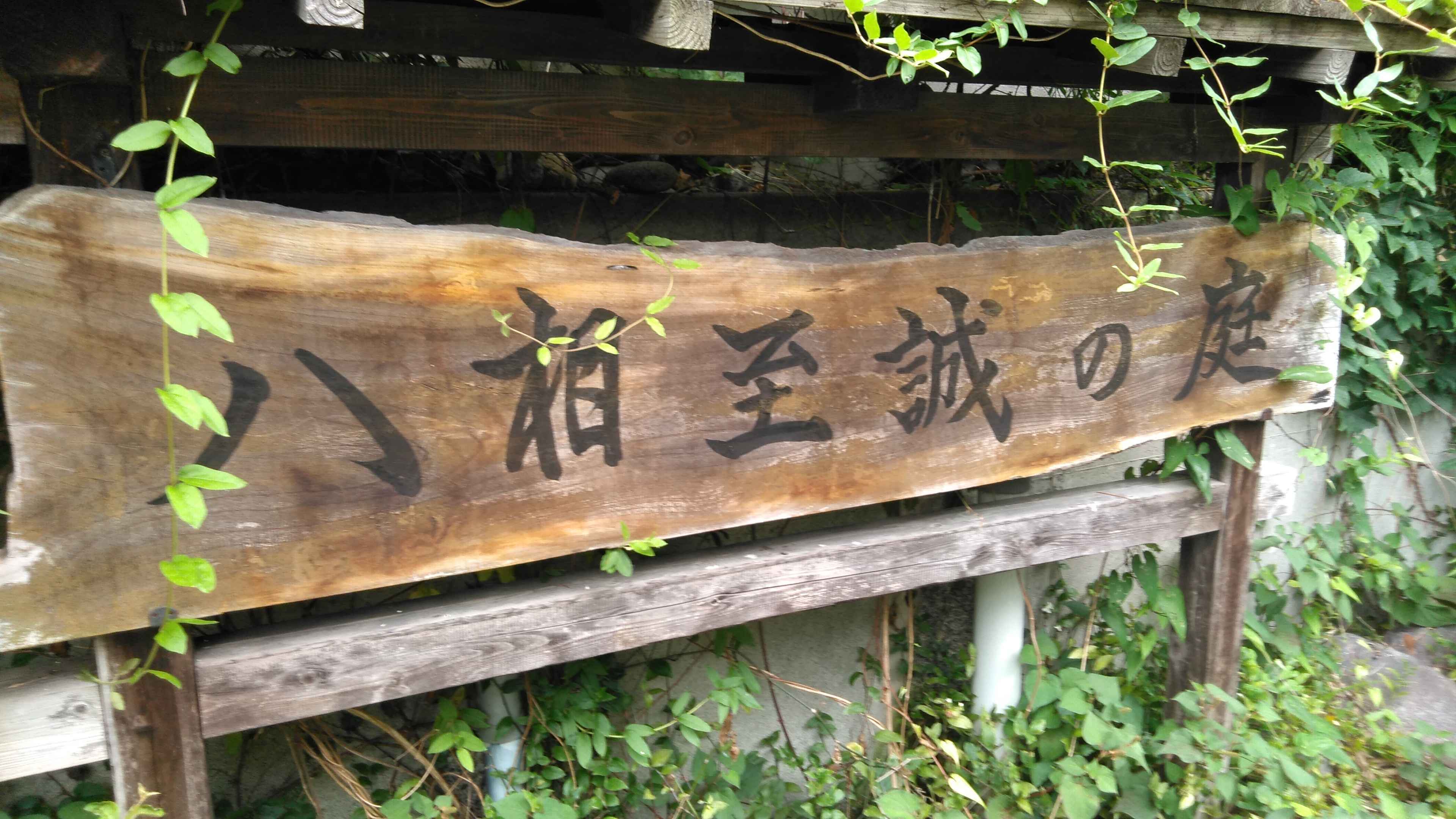 水が流れ植物も生き生き　鮫島（田子浦）のビオトープ「八相至誠の庭」_f0141310_08044076.jpg
