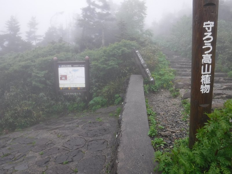 今年も八幡平詣でです。_d0000031_08495909.jpg