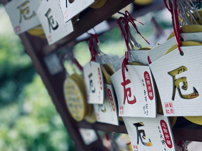 【Photo日誌】菊田神社 七夕まつり & 7月の「アイーン狛犬御朱印」  by iPhone_b0008655_16355829.jpg