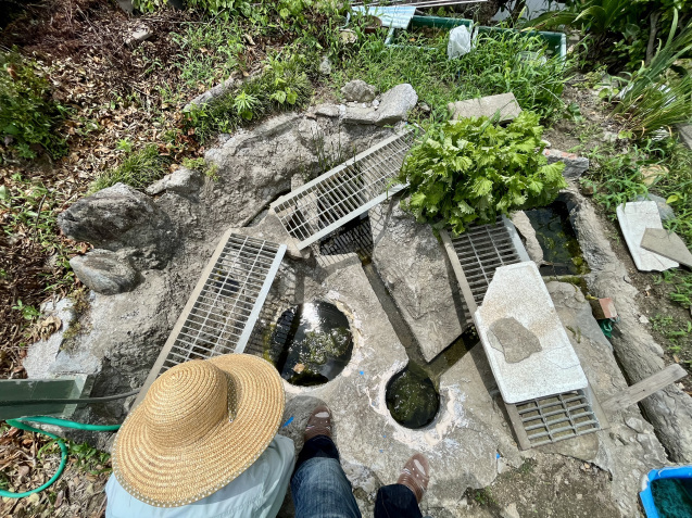 だからこそ_b0422982_15390257.jpeg