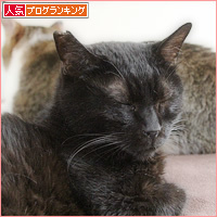 イレーネ・モレーネ_a0389088_18414366.jpg