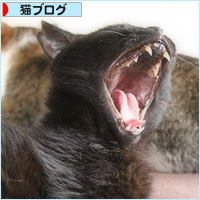 イレーネ・モレーネ_a0389088_18414374.jpg