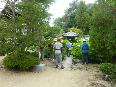 蓮の花を愛でる『転法輪寺』_c0218841_16503872.jpg