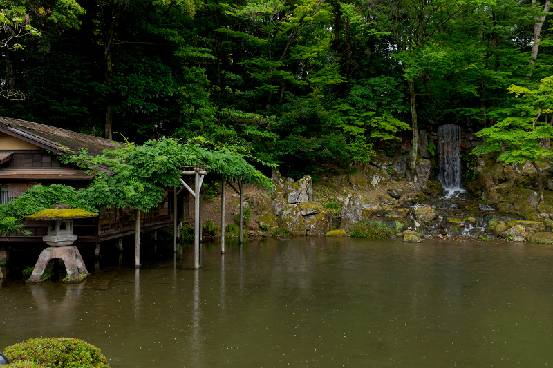 金沢での茅の輪くぐりと兼六園_f0155048_21185369.jpg