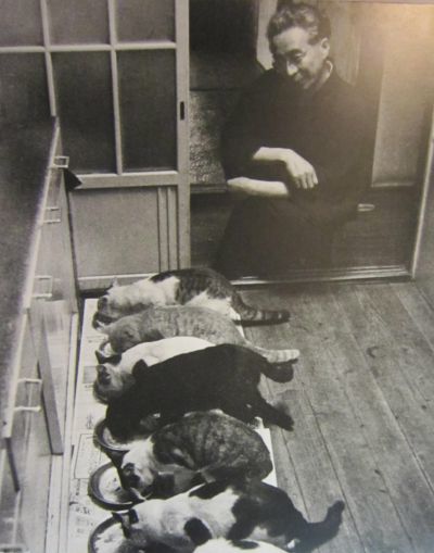 招き猫 大仏次郎記念館 置物 招き猫 大仏次郎記念館 置物 2025年最新