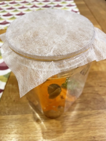 カタツムリを飼い始めました。_e0045768_21583962.jpg