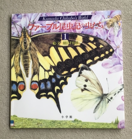 ファーブル昆虫記の虫たち 1 (株)小学館 1998・4・1 絵・文 ファーブル昆虫記の虫たち 1 (株)小学館 1998・4・1 絵・文