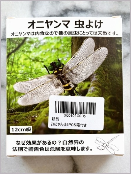 オニヤンマ君は意外なところでゲット出来た!_d0017632_13590479.jpeg