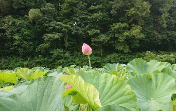 毎日の積み重ねの先***_e0290872_20520230.jpg