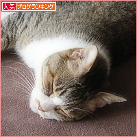 昭和の猫_a0389088_15250351.jpg