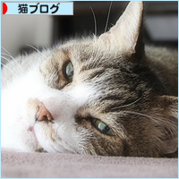 昭和の猫_a0389088_15250419.jpg