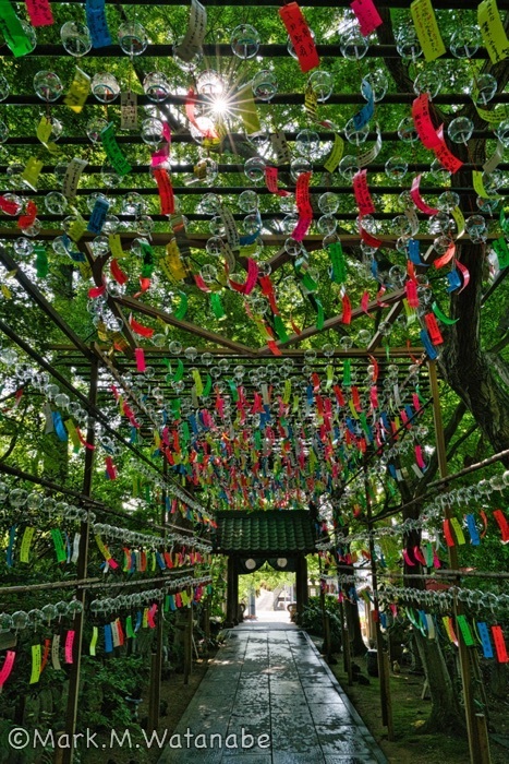 如意輪寺-風鈴_e0135098_20115362.jpg