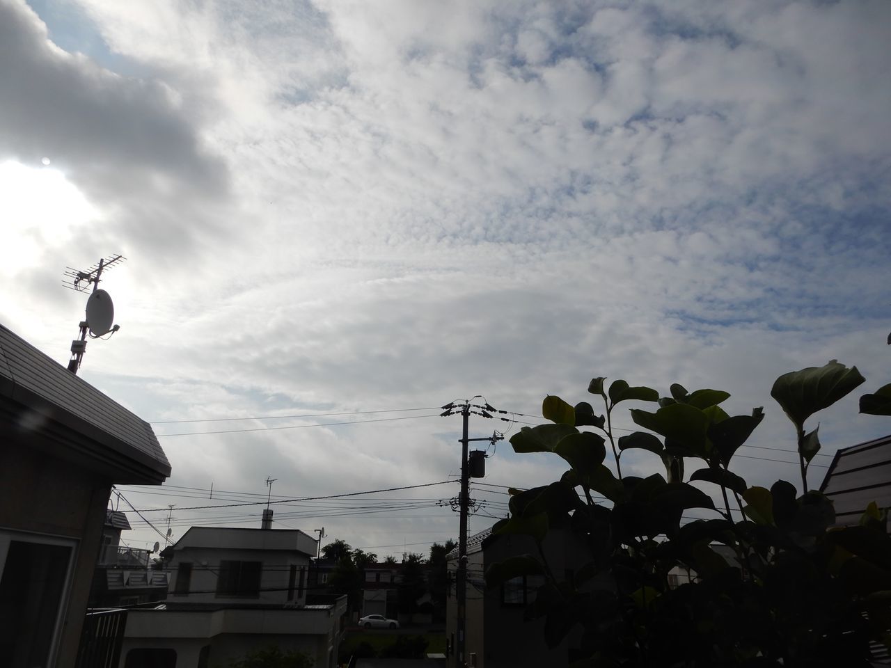 気温は高いものの天気はくずれ気味_c0025115_21291782.jpg