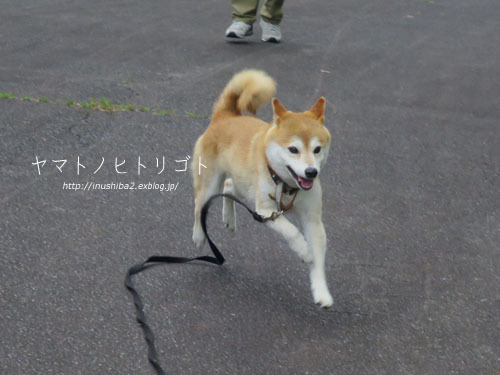 最近食べたもの【芒種】③_e0394031_06271118.jpg