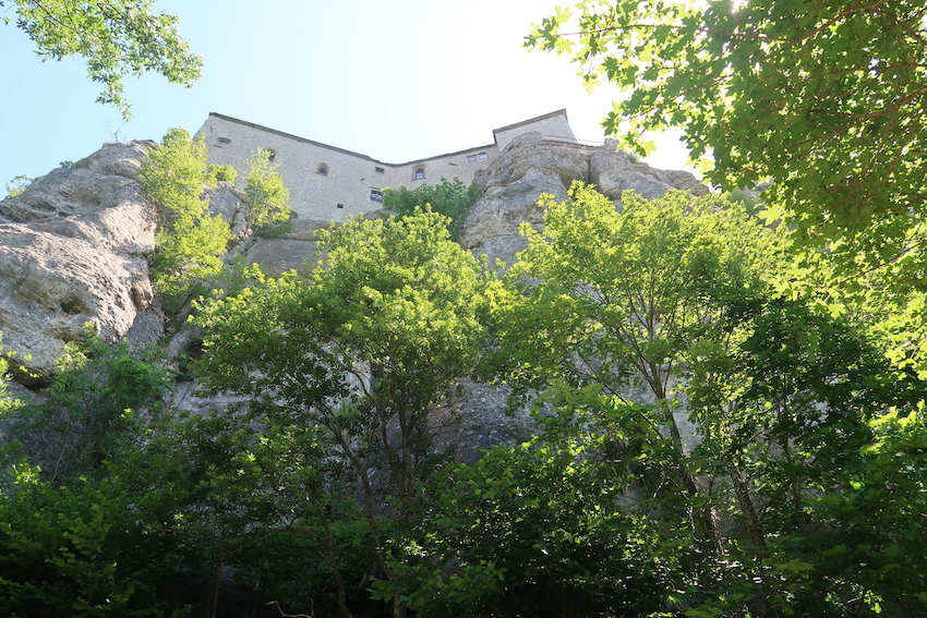 緑に花映えて美しい森をラヴェルナ修道院へ_f0234936_18460674.jpg