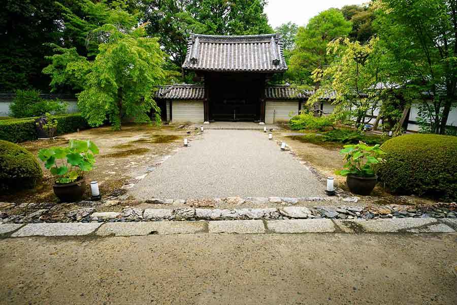 雲龍院 お散歩写真