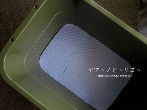 たらい_e0394031_06260372.jpg