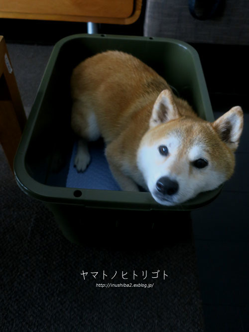 たらい_e0394031_06260556.jpg