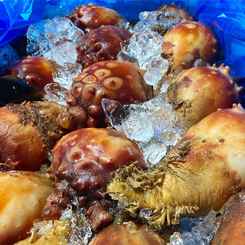 ホヤをさばいて食べる会_c0060143_09471582.jpg