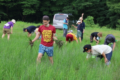 第18回　米酒の会　＃2　田んぼの草取りと生き物観察　2022年7月3日_d0171387_21520841.jpg