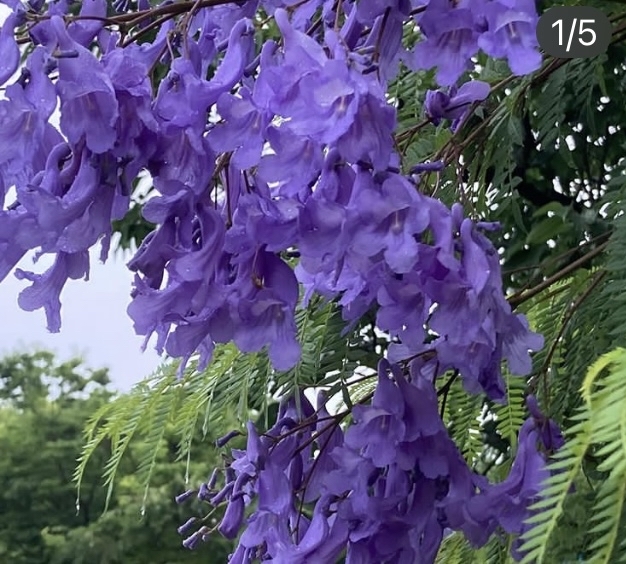 久しぶりの更新_a0098418_22055938.jpg