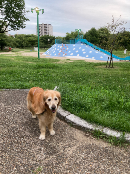 久しぶりの更新_a0098418_22082955.jpg