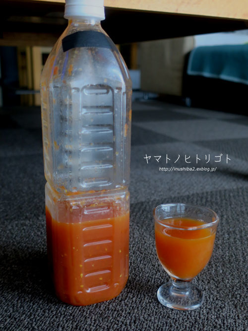 はじかれトマト_e0394031_06181792.jpg