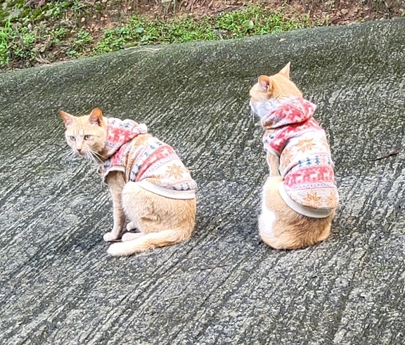 7月のカレンダー_e0145441_00402510.jpg