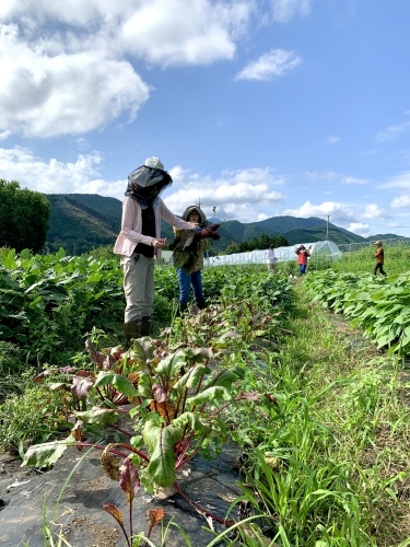 富士宮「里山てるてるファーム」_b0145846_17545530.jpeg