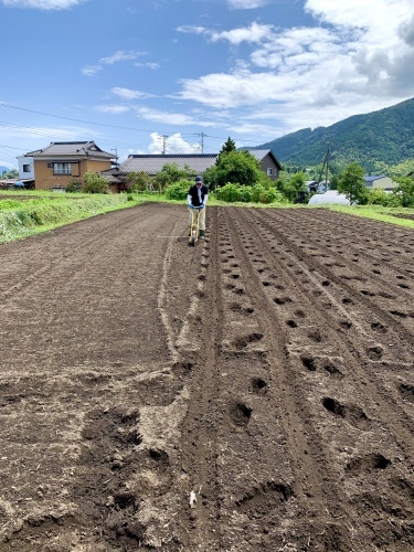 大豆の種まき_b0145846_18192557.jpeg