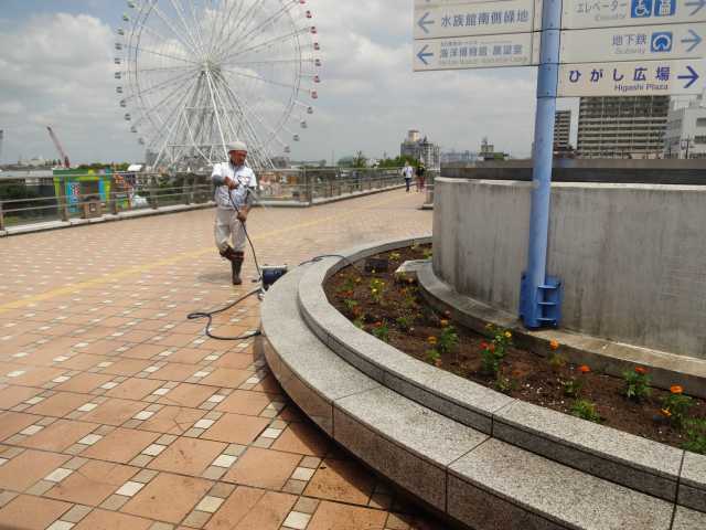 名古屋港水族館前花壇の植栽R4.7.11_d0338682_08334363.jpg