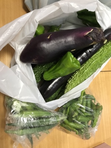 色鮮やかな夏野菜&#127813;_f0206213_18151552.jpeg