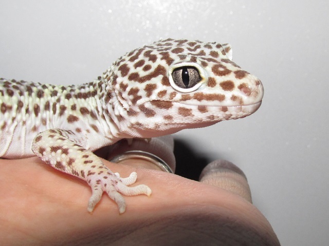 デジタルカメラ、復活!!!_b0174337_23080387.jpg