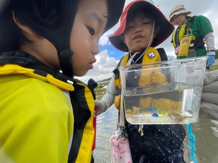 ネコクラブJr.c-03◆サンゴ礁の海とSUP遊び（7/9）はじめてのSUPを楽しみつつサンゴ礁の生き物を探しに行こう〜！_d0363878_22002499.jpg